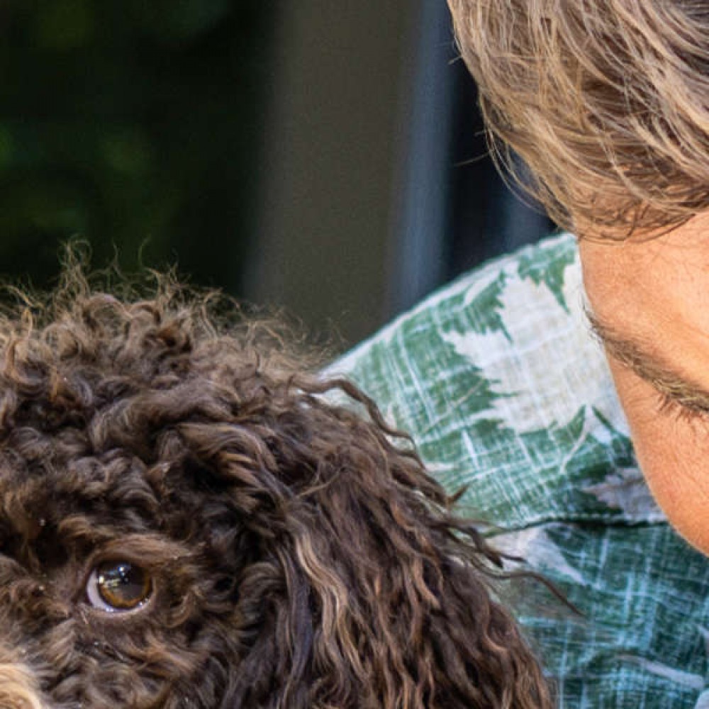 Karcher OC Handheld Compact