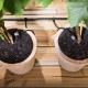 Karcher Rain System™ Pot Watering Expansion Set | 2.645-276.0