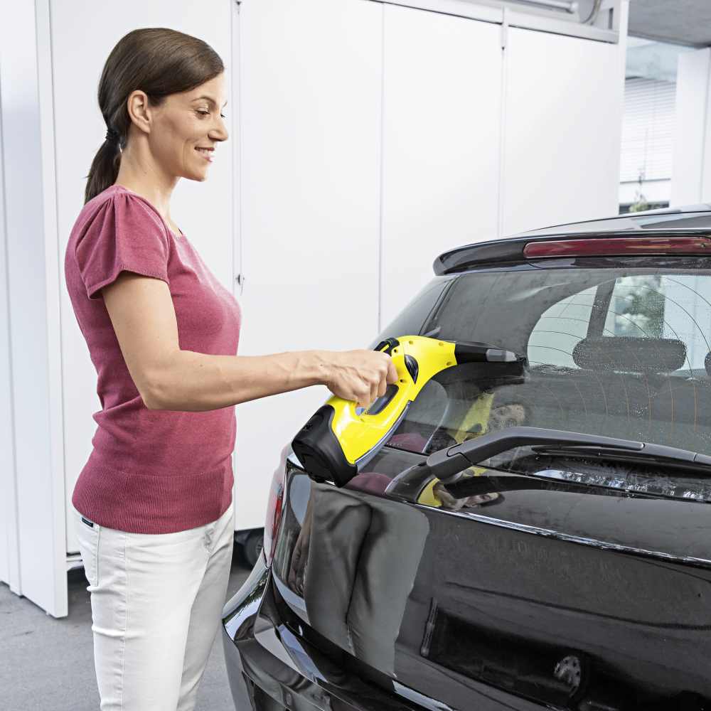 Karcher WV5 Plus N Window Vacuum