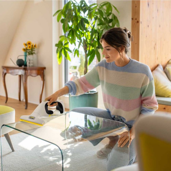 Karcher WV 1 Compact Window Vacuum