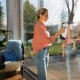 Karcher WV 5 Plus Window Vacuum | 1.633-708.0